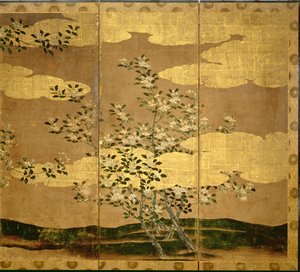 Fleurs de camélias